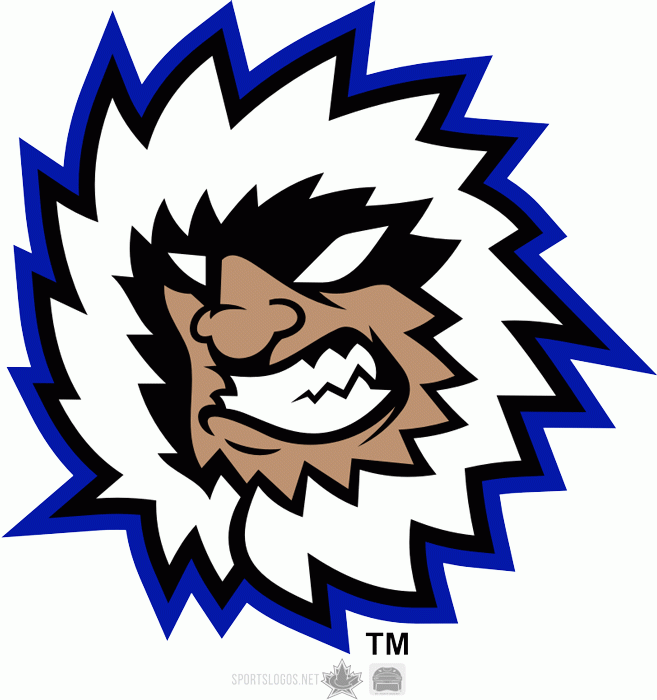 evansville icemen 2012-pres secondary logo iron on transfers for T-shirts